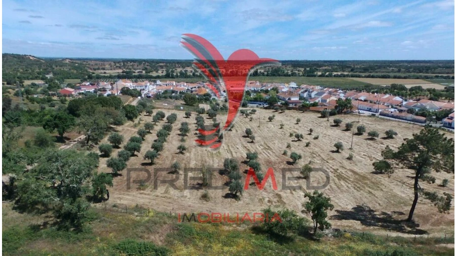 Terreno para Venda em São Domingos e Vale de Água Foto 12