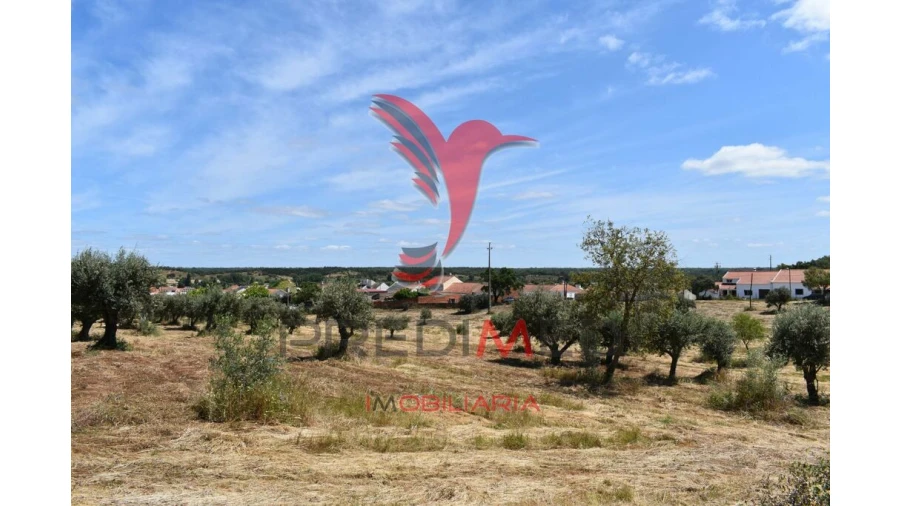 Terreno para Venda em São Domingos e Vale de Água Foto 7
