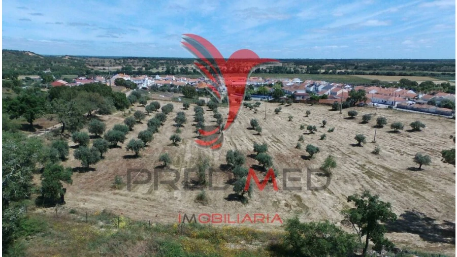 Terreno para Venda em São Domingos e Vale de Água Foto 11