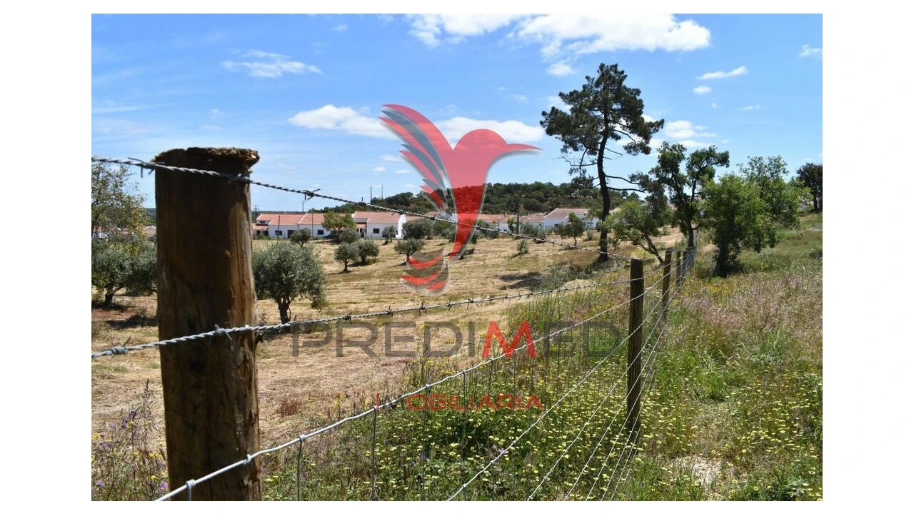 Terreno para Venda em São Domingos e Vale de Água Foto 9