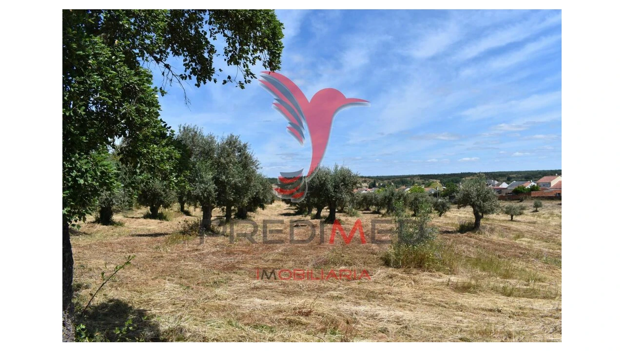 Terreno para Venda em São Domingos e Vale de Água Foto 6