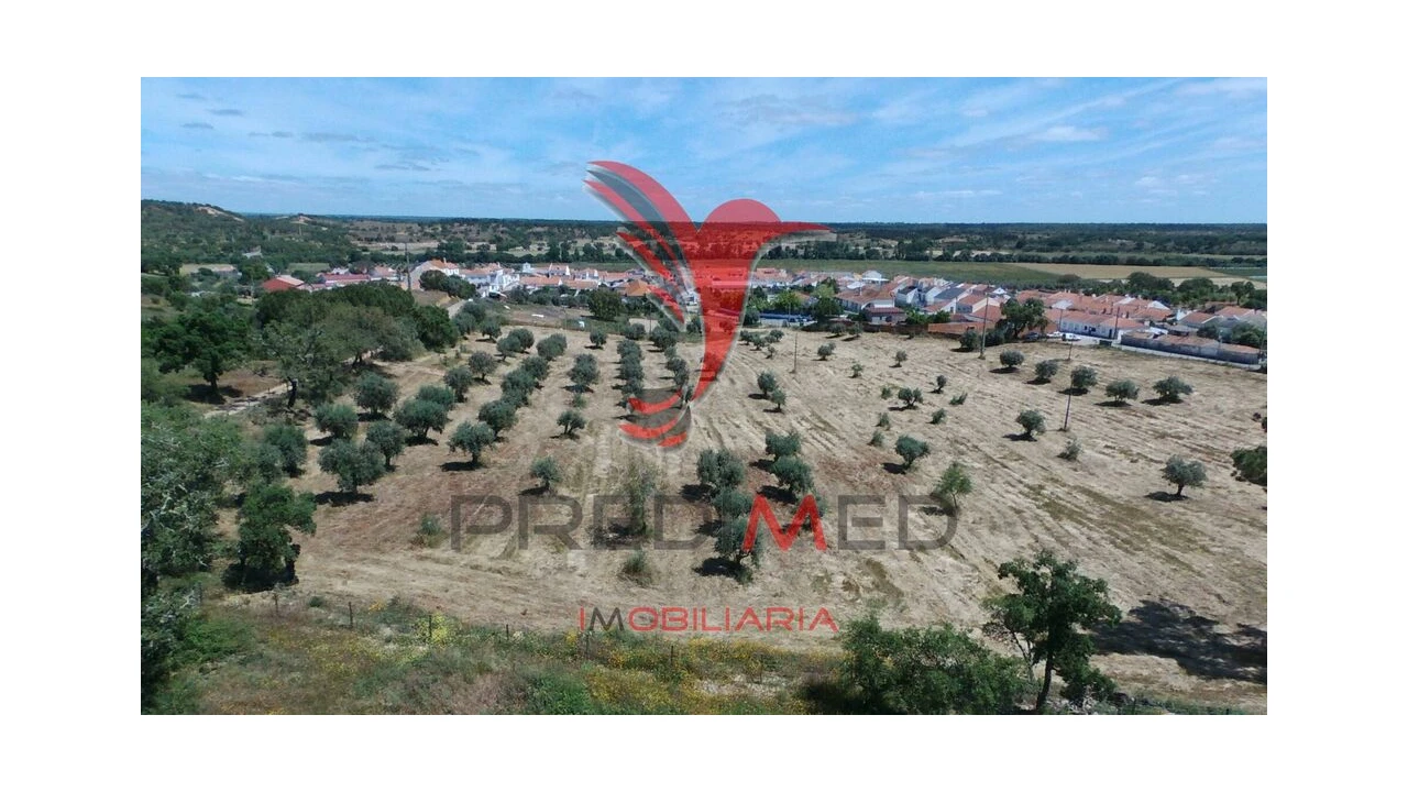 Terreno para Venda em São Domingos e Vale de Água Foto 11