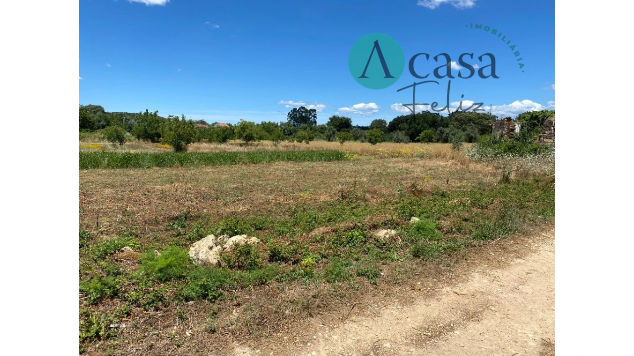 Terreno para Venda em Nossa Senhora do Pranto Foto 6