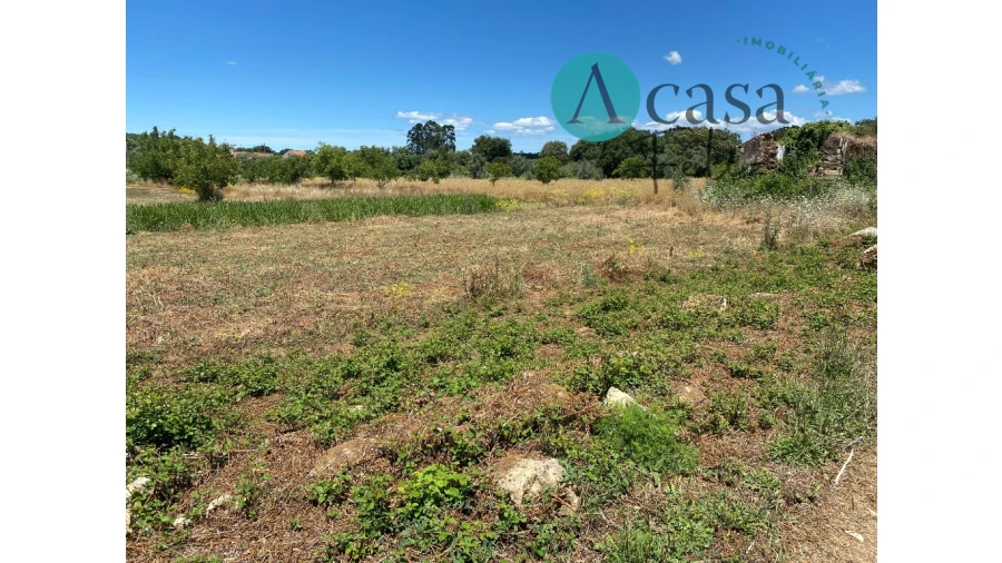 Terreno para Venda em Nossa Senhora do Pranto Foto 2