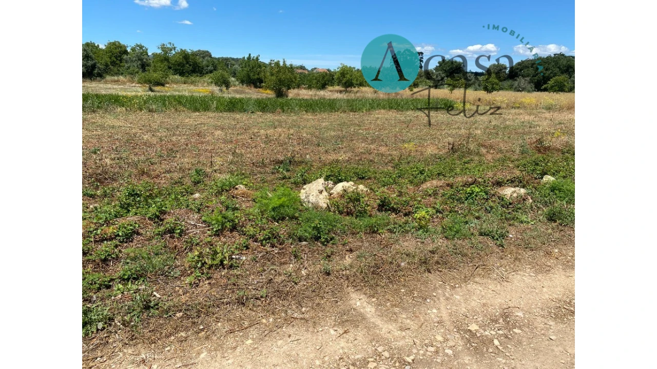 Terreno para Venda em Nossa Senhora do Pranto Foto 5