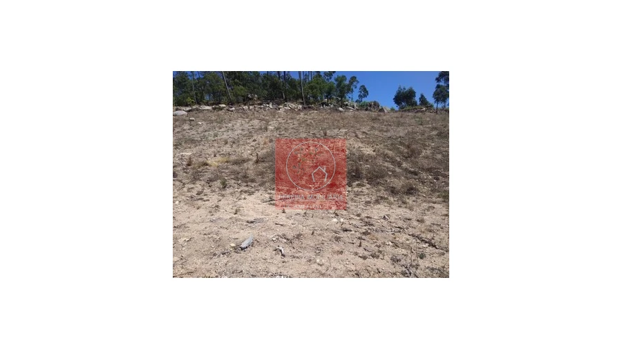 Terreno para Venda em Palmeira de Faro e Curvos Foto 6