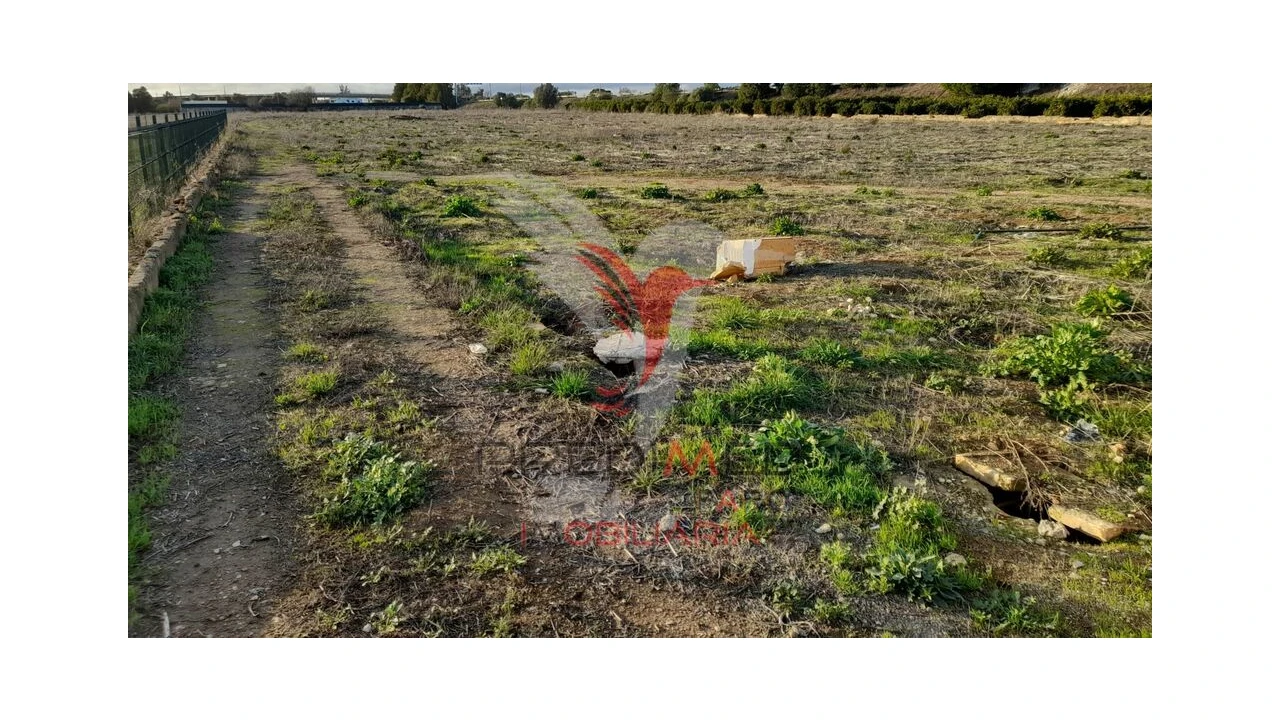 Terreno para Arrendamento em Conceição e Estoi Foto 1