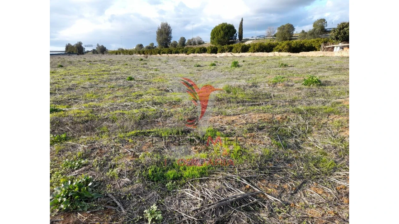Terreno para Arrendamento em Conceição e Estoi Foto 10