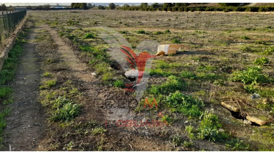 Terreno para Arrendamento em Conceição e Estoi Foto 1