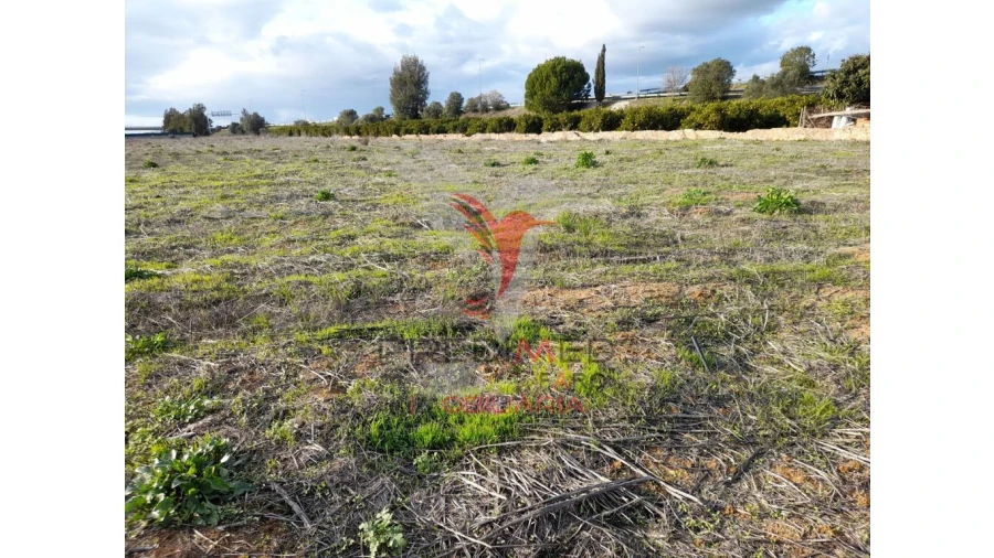 Terreno para Arrendamento em Conceição e Estoi Foto 10