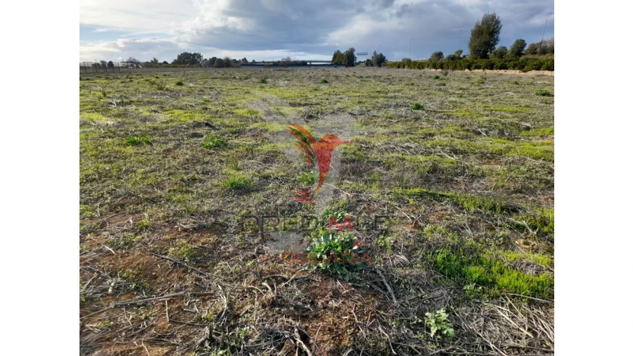 Terreno para Arrendamento em Conceição e Estoi Foto 4