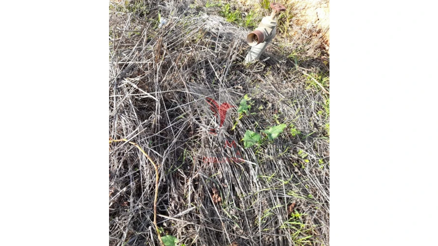 Terreno para Arrendamento em Conceição e Estoi Foto 9