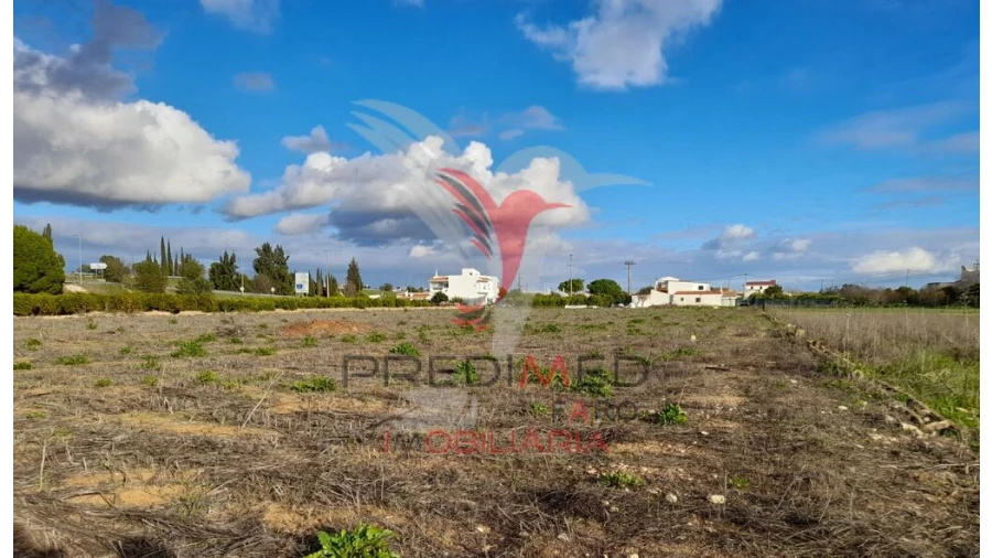 Terreno para Arrendamento em Conceição e Estoi Foto 6