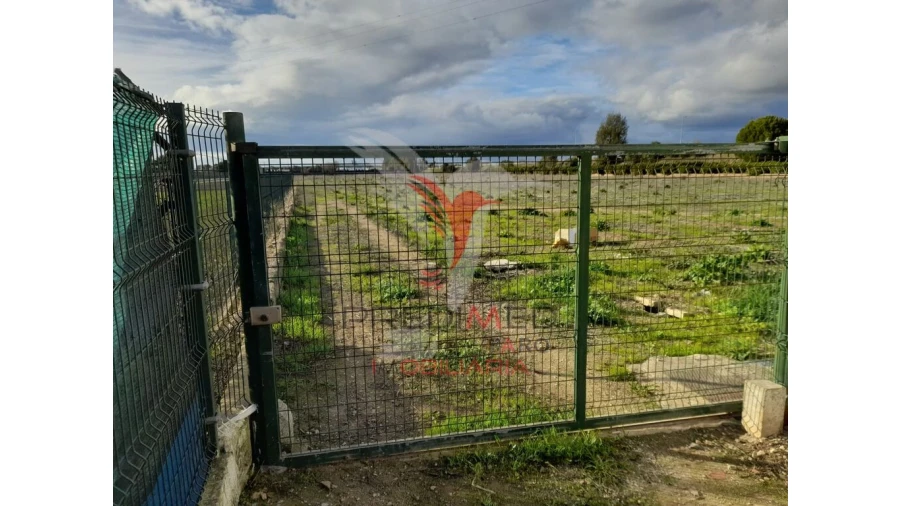 Terreno para Arrendamento em Conceição e Estoi Foto 7