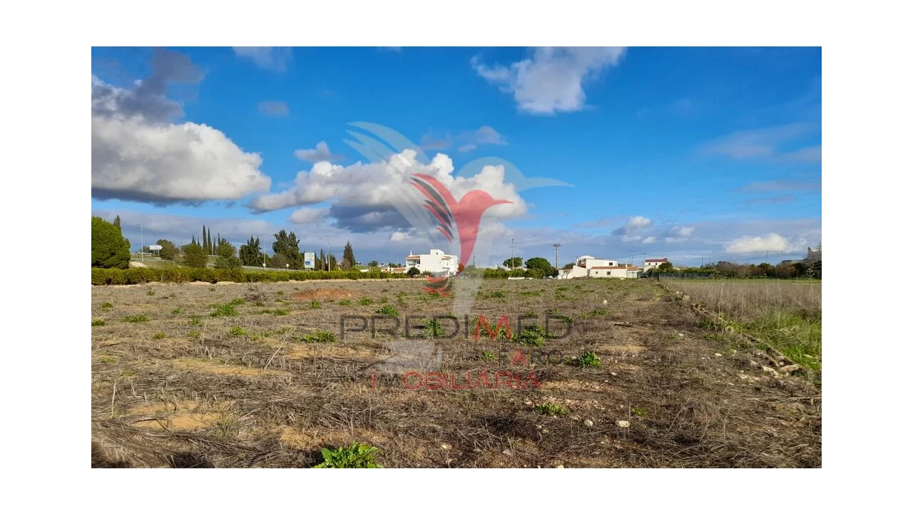 Terreno para Arrendamento em Conceição e Estoi Foto 6