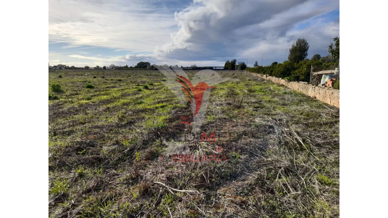 Terreno para Arrendamento em Conceição e Estoi Foto 2