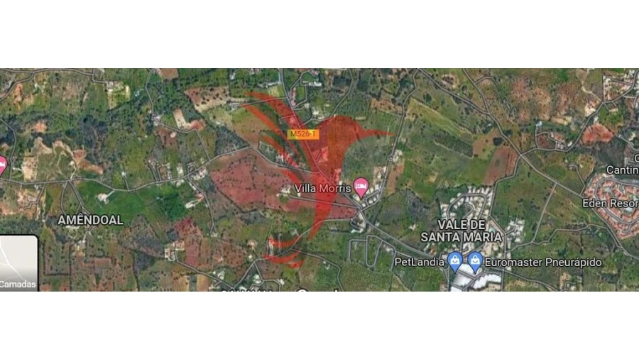 Quinta T3 para Venda em Guia Foto 4