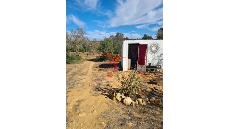 Quinta T3 para Venda em Guia Foto 8