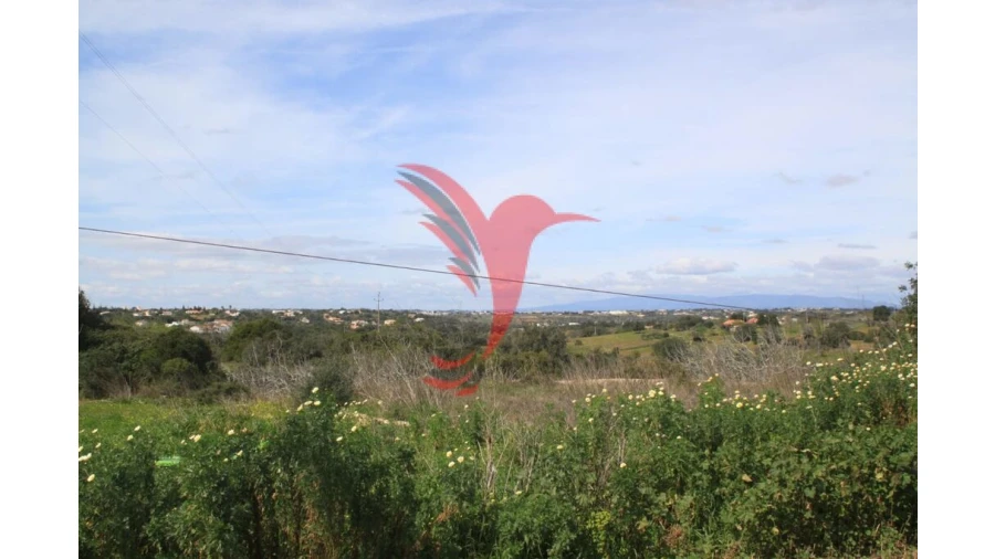 Quinta T3 para Venda em Guia Foto 1