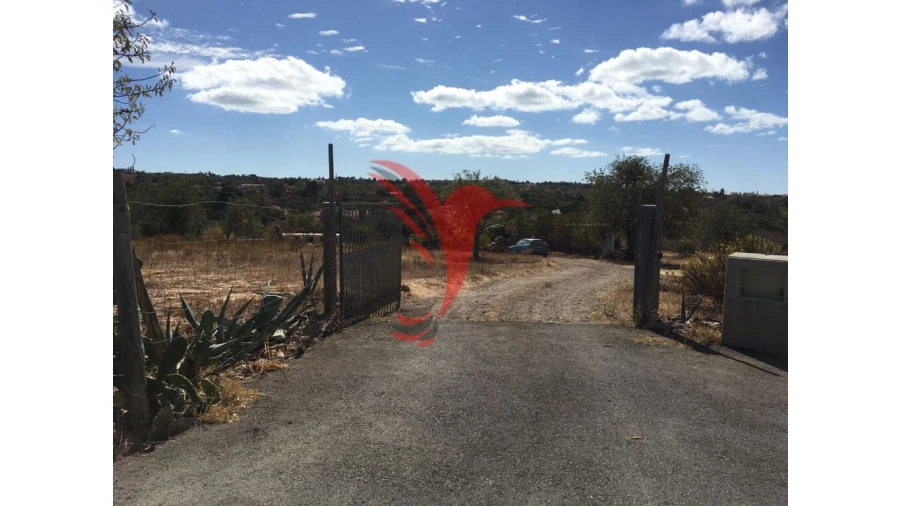 Quinta T3 para Venda em Guia Foto 6