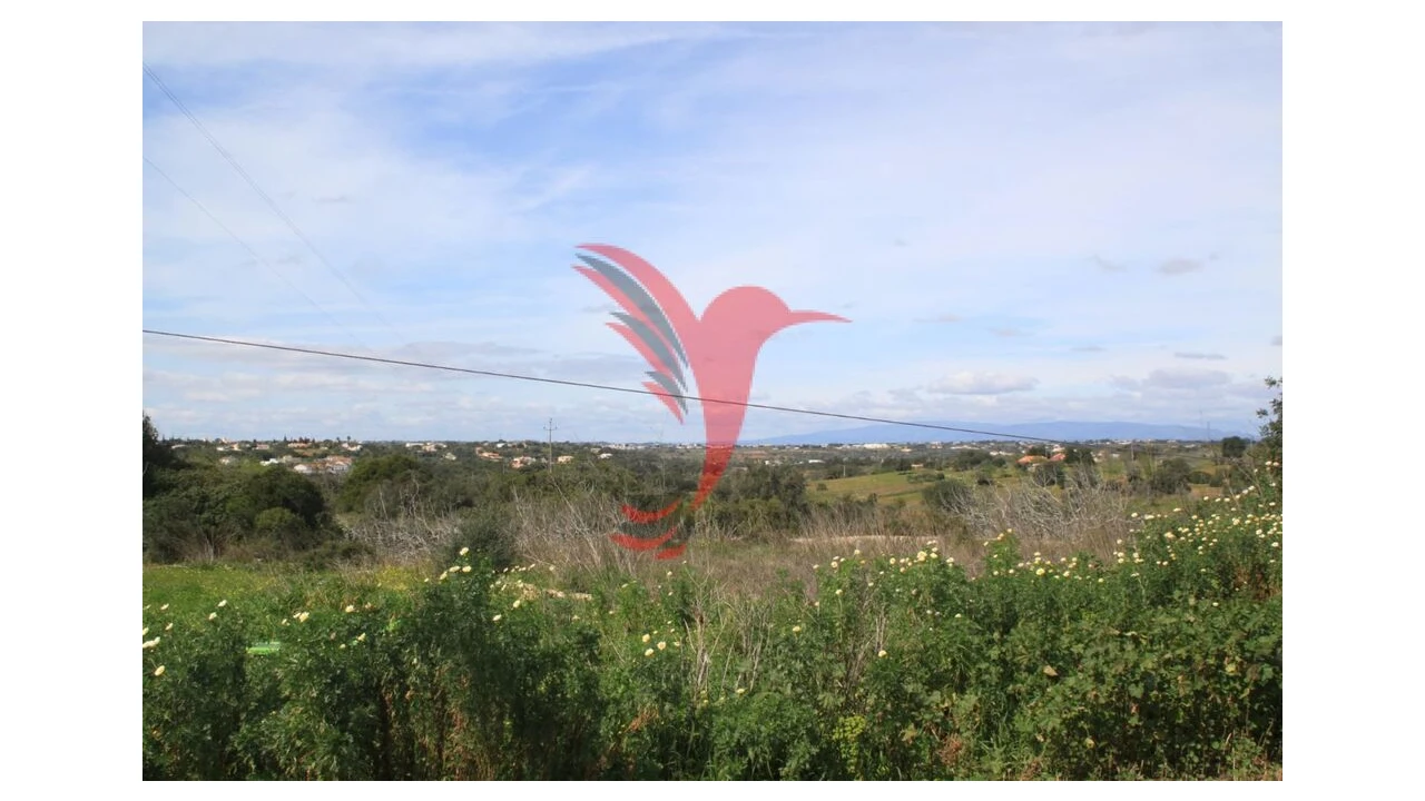 Quinta T3 para Venda em Guia Foto 1