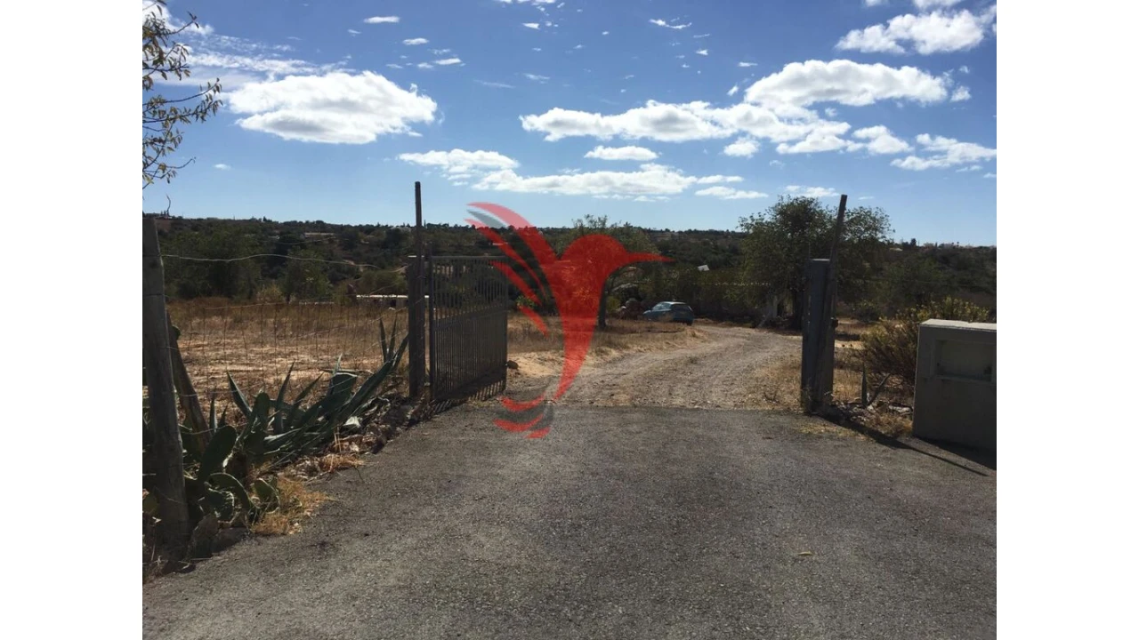 Quinta T3 para Venda em Guia Foto 6