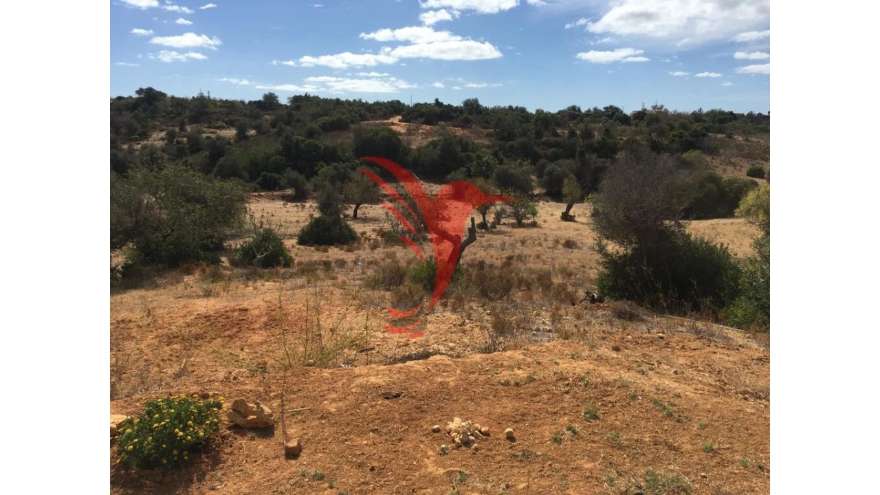 Quinta T3 para Venda em Guia Foto 3