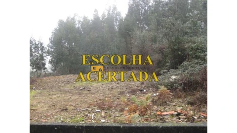 Terreno para Venda em Fânzeres e São Pedro da Cova