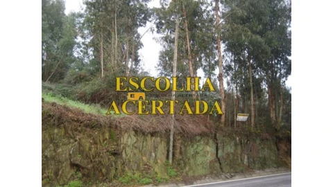 Terreno para Venda em Fânzeres e São Pedro da Cova