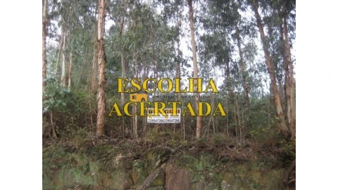 Terreno para Venda em Fânzeres e São Pedro da Cova