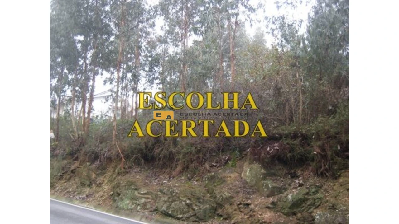 Terreno para Venda em Fânzeres e São Pedro da Cova Foto 6