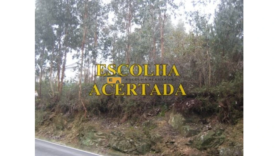 Terreno para Venda em Fânzeres e São Pedro da Cova Foto 6