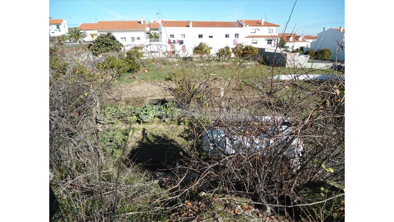Terreno para Venda em Castelo Branco Foto 1