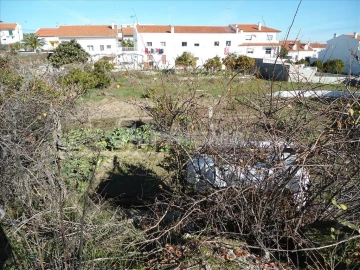 Terreno para Venda em Castelo Branco