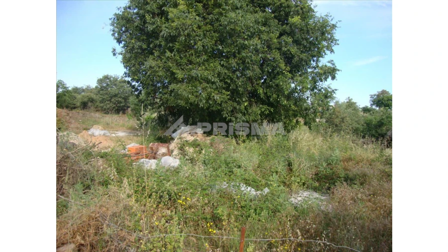 Terreno para Venda em Castelo Branco Foto 7