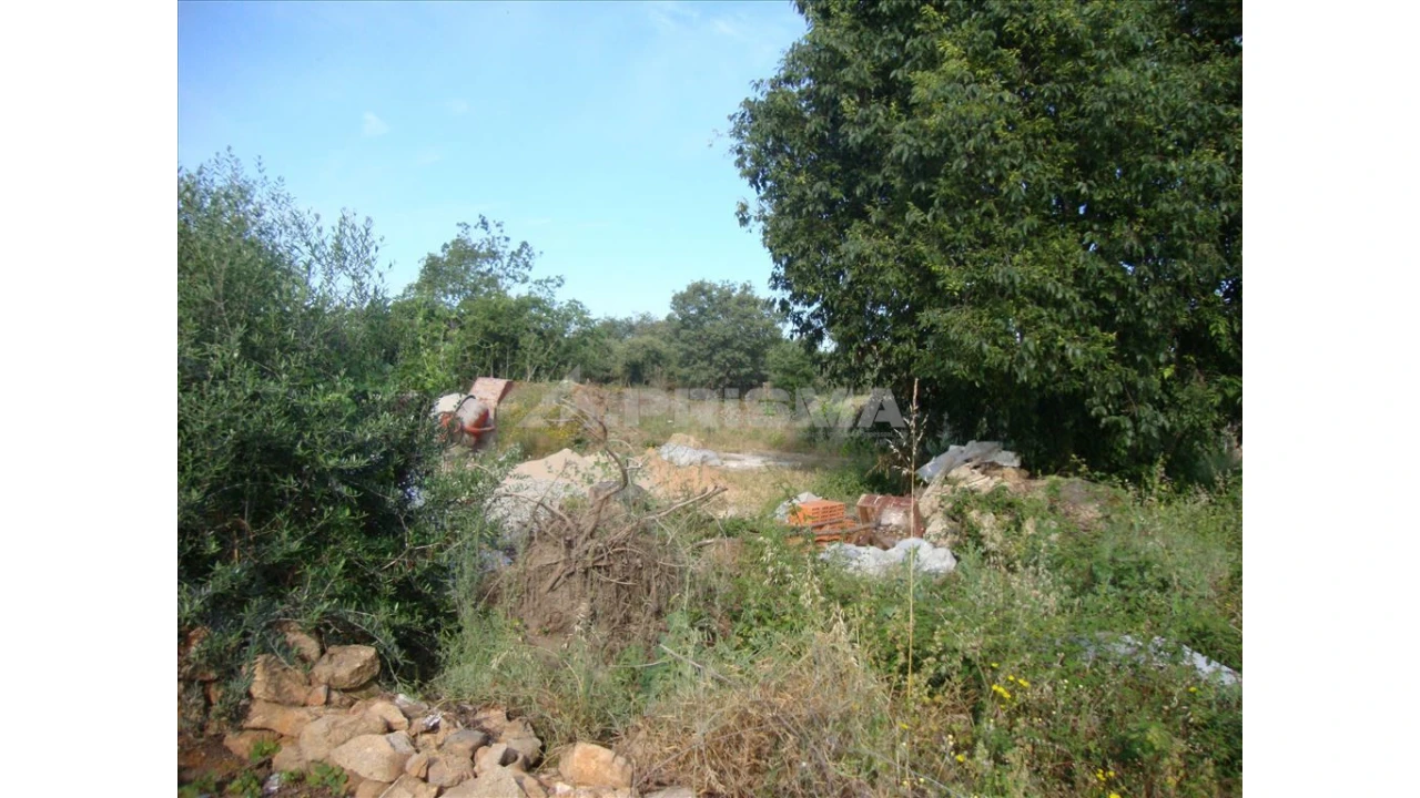Terreno para Venda em Castelo Branco Foto 4