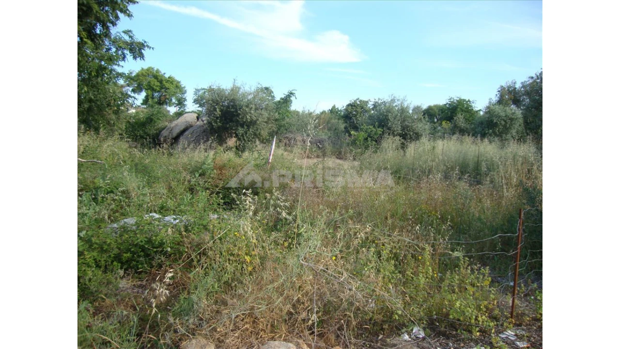 Terreno para Venda em Castelo Branco Foto 2