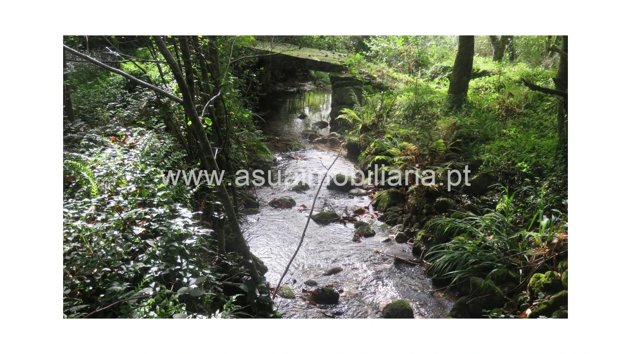 Terreno para Venda em Bouro (Santa Maria) Foto 5