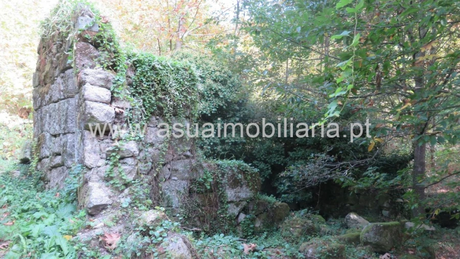 Terreno para Venda em Bouro (Santa Maria) Foto 9