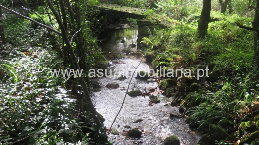 Terreno para Venda em Bouro (Santa Maria) Foto 5