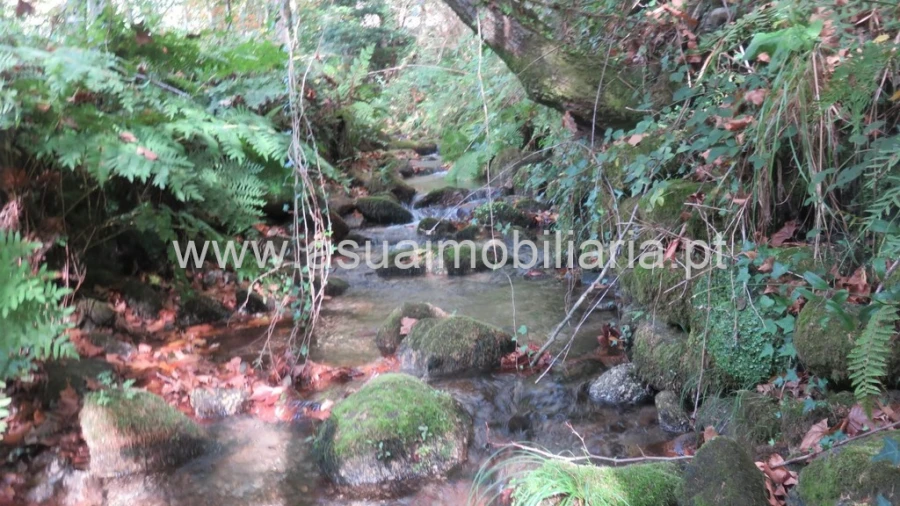 Terreno para Venda em Bouro (Santa Maria) Foto 10