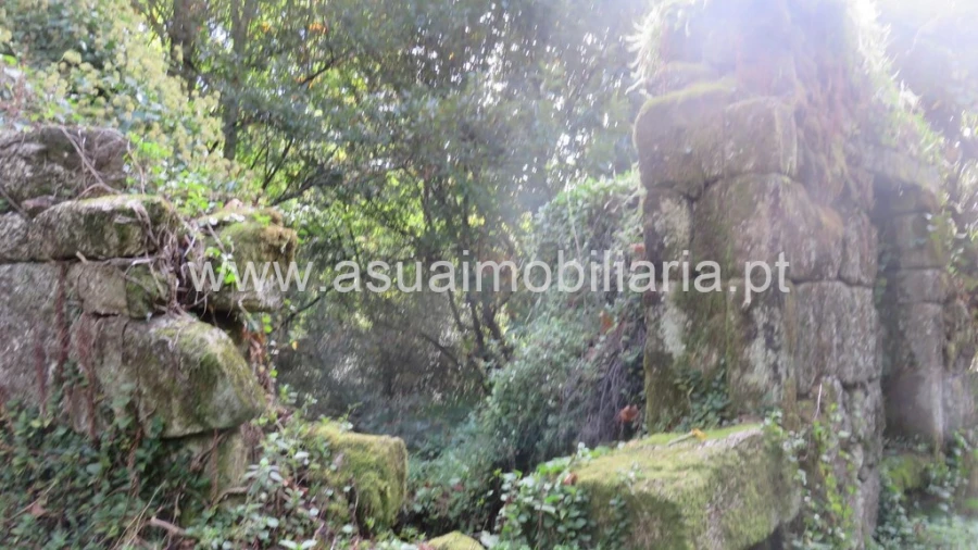 Terreno para Venda em Bouro (Santa Maria) Foto 4