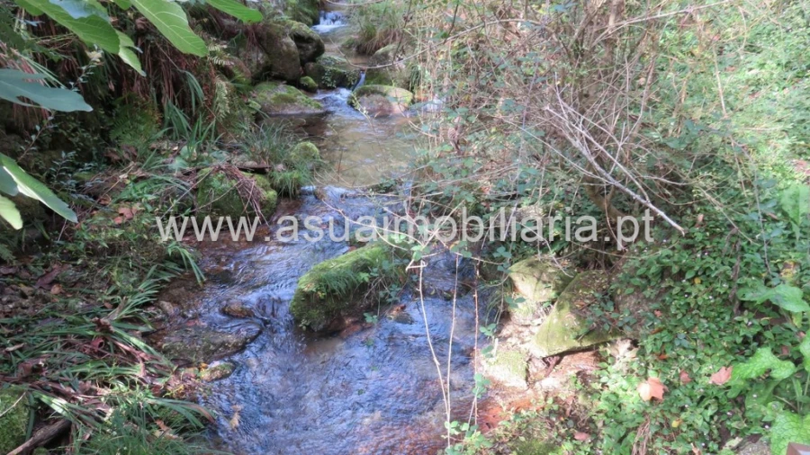 Terreno para Venda em Bouro (Santa Maria) Foto 7