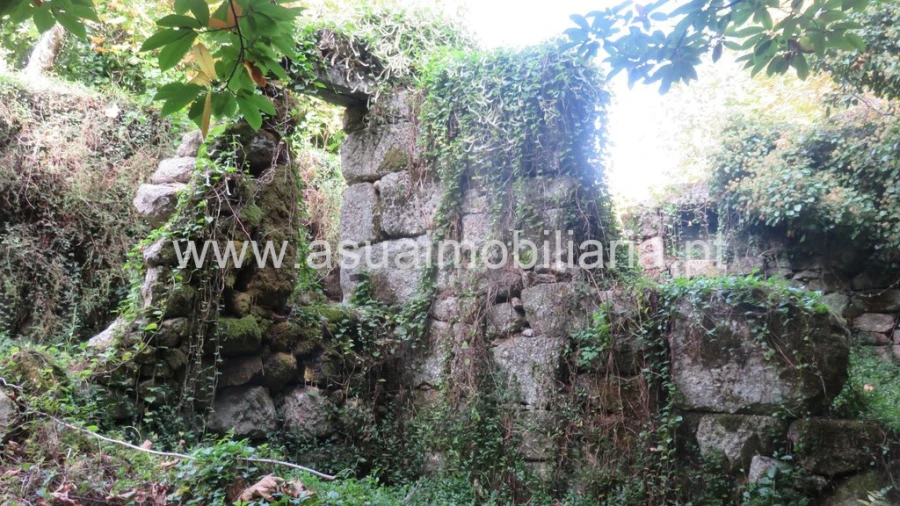 Terreno para Venda em Bouro (Santa Maria) Foto 3