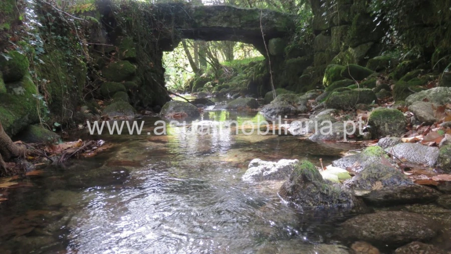 Terreno para Venda em Bouro (Santa Maria) Foto 2