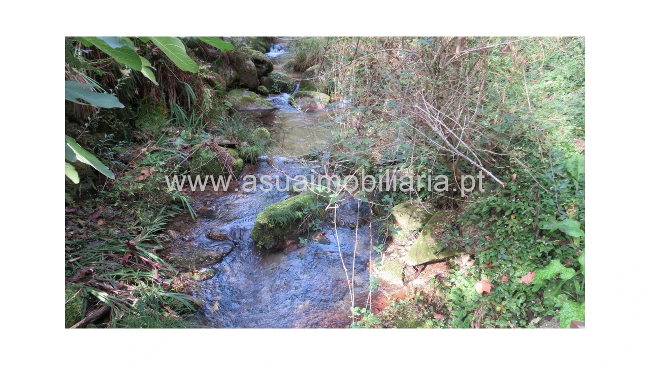 Terreno para Venda em Bouro (Santa Maria) Foto 7