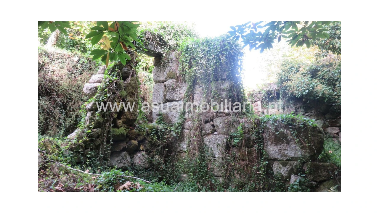 Terreno para Venda em Bouro (Santa Maria) Foto 3