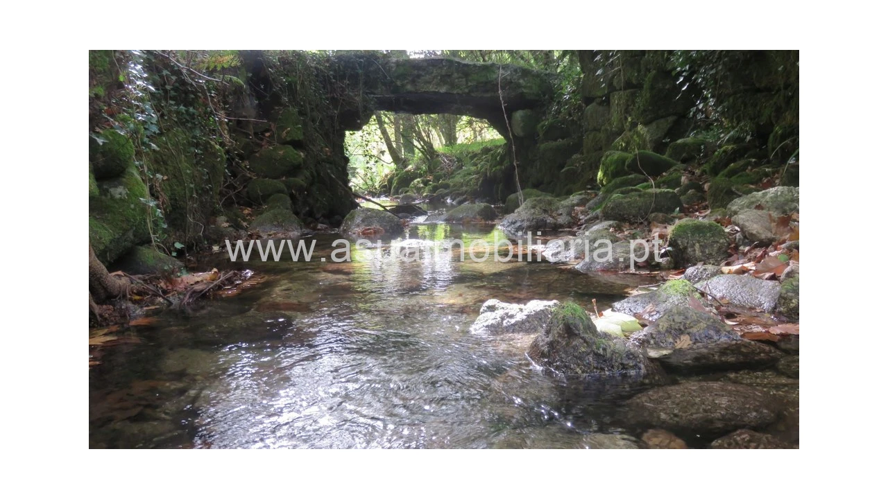 Terreno para Venda em Bouro (Santa Maria) Foto 2