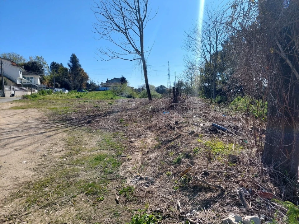 Terreno para Venda em Lago Foto 2