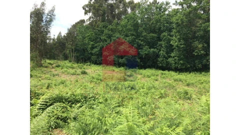 Terreno para Venda em Vila Verde e Barbudo